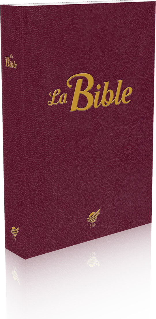 BIBLE SEGOND 1910  SOUPLE GRENAT - PAROLES DE JESUS EN ROUGE