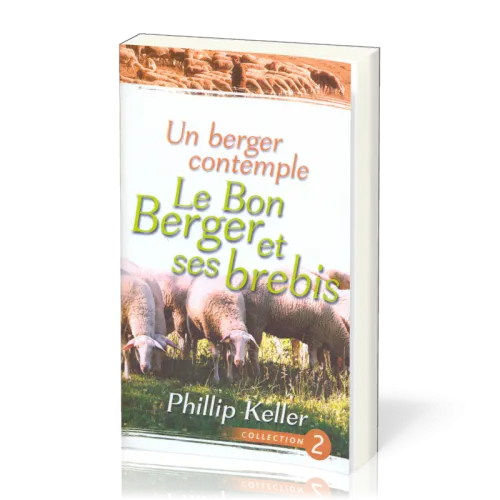 UN BERGER CONTEMPLE - LE BON BERGER ET SES BREBIS