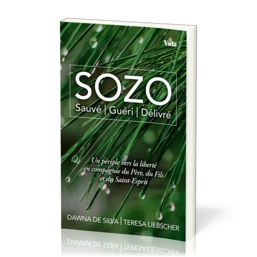 SOZO - SAUVE | GUERI | DELIVRE