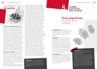 EVANGILE EXPOSE SIMPLEMENT (L') - AUX MUSULMANS ET A TOUS