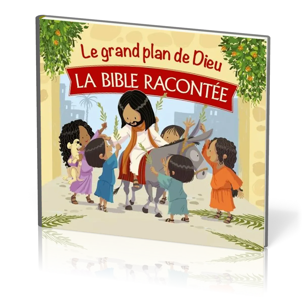 GRAND PLAN DE DIEU (LE) - LA BIBLE RACONTEE
