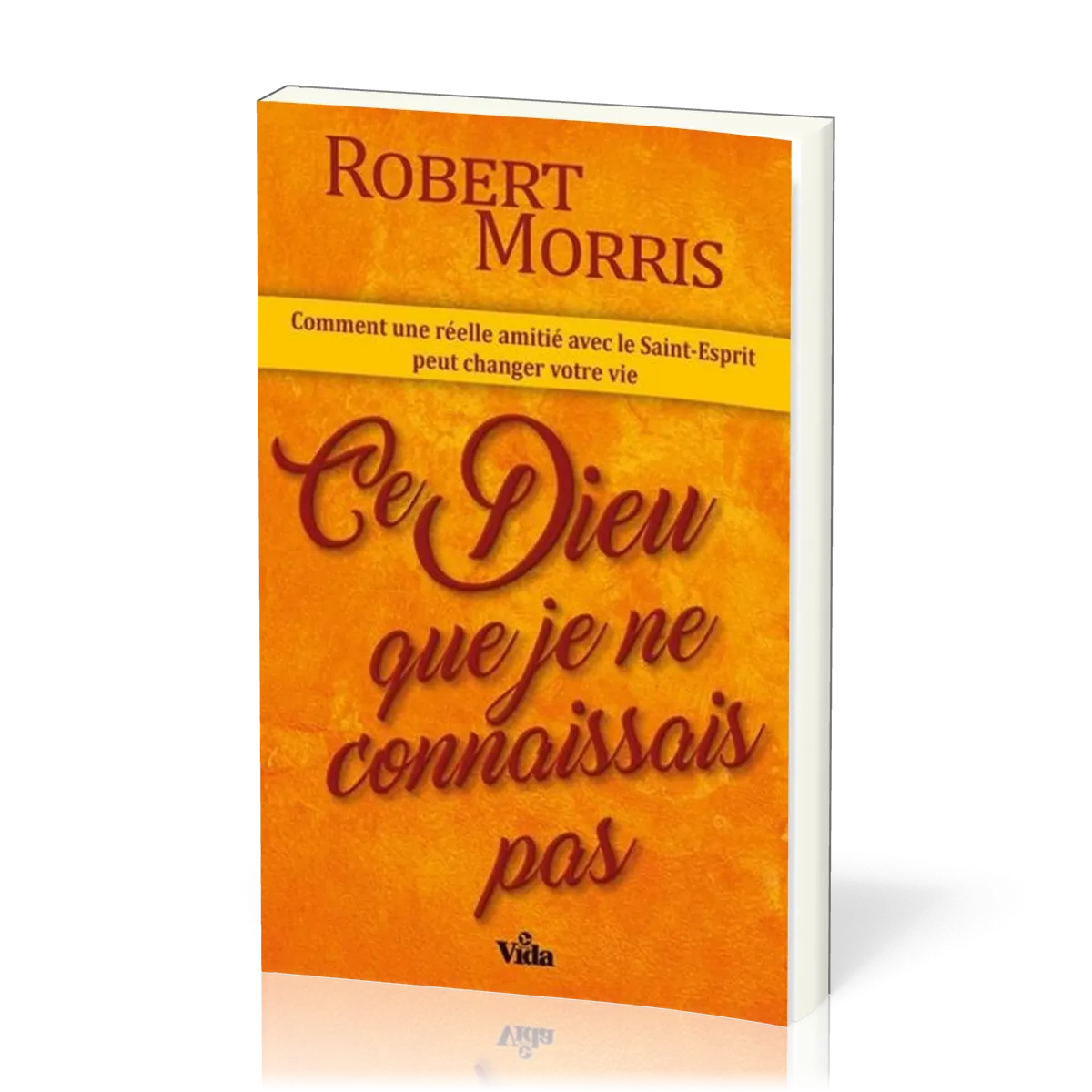 CE DIEU QUE JE NE CONNAISSAIS PAS - COMMENT UNE REELLE AMITIE AVEC LE ST ESPRIT PEUT CHANGER VOTRE