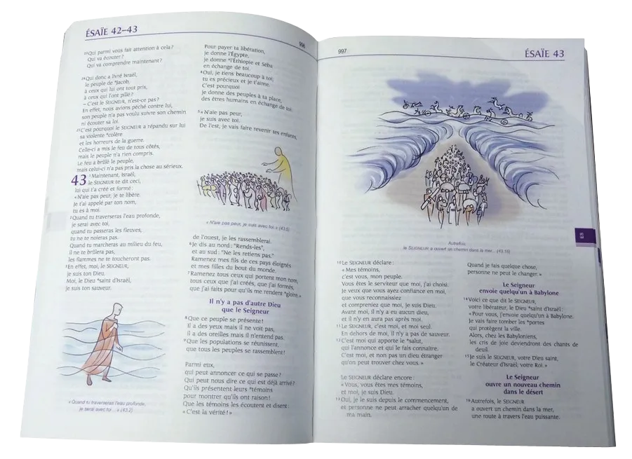 BIBLE PAROLE DE VIE ILLUSTREE PAR ANNIE VALLOTTON - SANS LES LIVRES DEUTEROCANONIQUES