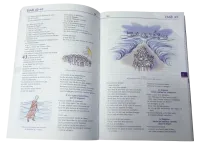 BIBLE PAROLE DE VIE ILLUSTREE PAR ANNIE VALLOTTON - SANS LES LIVRES DEUTEROCANONIQUES