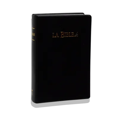 BIBLE SEGOND 21 PVC NOIR