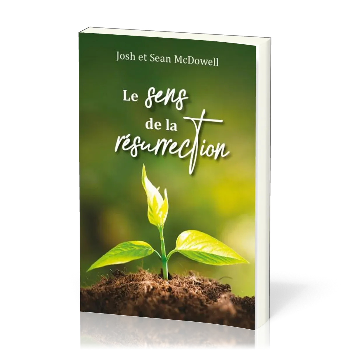 SENS DE LA RESURRECTION (LE)