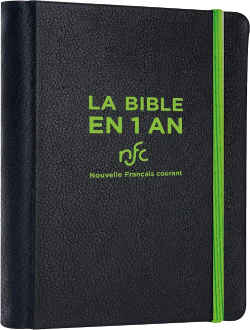 BIBLE EN 1 AN SOUPLE SIMILICUIR SANS DEUTEROCANONIQUE (LA)