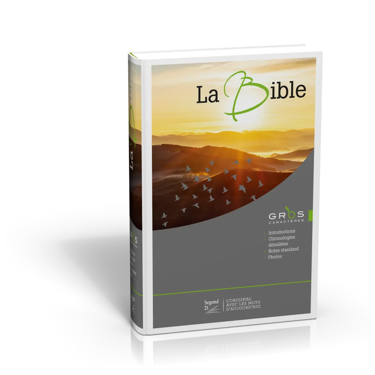BIBLE GROS CARACTERES ILLUSTRE SEGOND 21