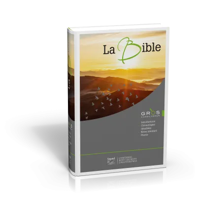 BIBLE GROS CARACTERES ILLUSTRE SEGOND 21