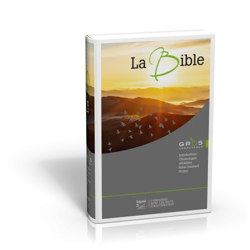 BIBLE GROS CARACTERES ILLUSTRE SEGOND 21