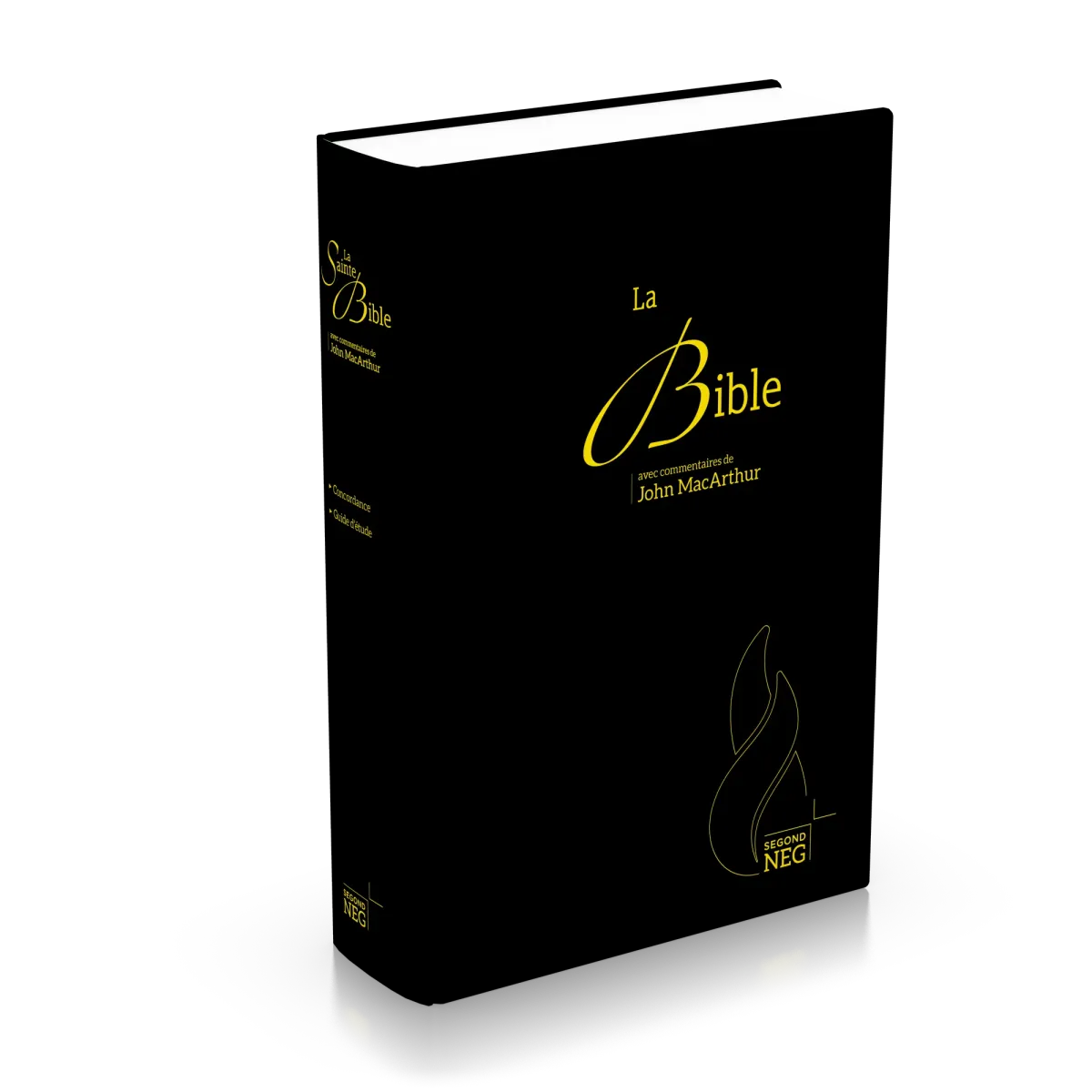 BIBLE NEG MACARTHUR RIGIDE SKYVERTEX NOIR