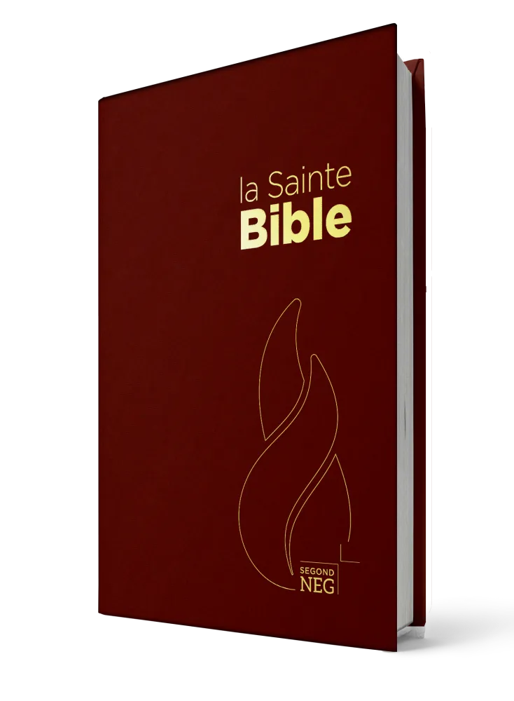 BIBLE NEG COMPACT RIGIDE GRENAT