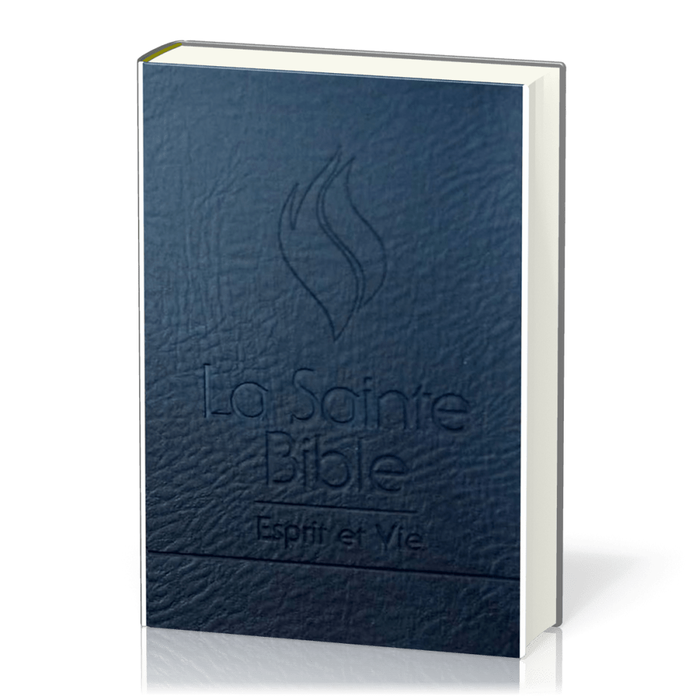BIBLE ESPRIT ET VIE SEGOND 1910 - DELUX CUIR, ONGLETS, TRANCHE ARGENT, ONGLETS