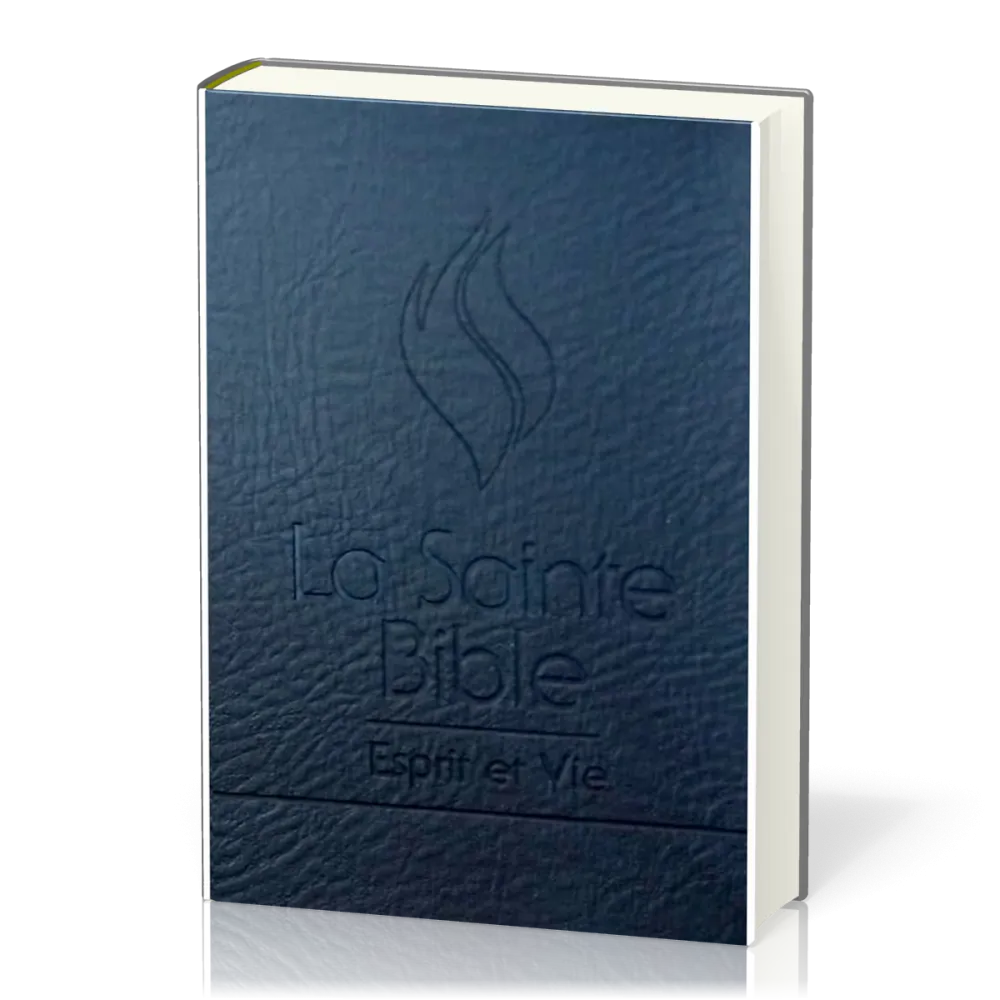 BIBLE ESPRIT ET VIE SEGOND 1910 - DELUX CUIR, ONGLETS, TRANCHE ARGENT, ONGLETS