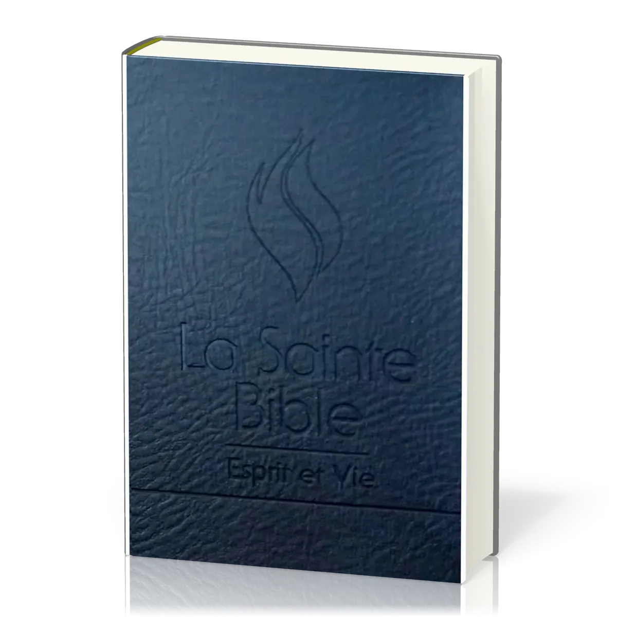 BIBLE ESPRIT ET VIE SEGOND 1910 - DELUX CUIR, ONGLETS, TRANCHE ARGENT, ONGLETS