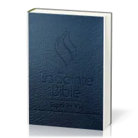 BIBLE ESPRIT ET VIE SEGOND 1910 - DELUX CUIR, ONGLETS, TRANCHE ARGENT, ONGLETS