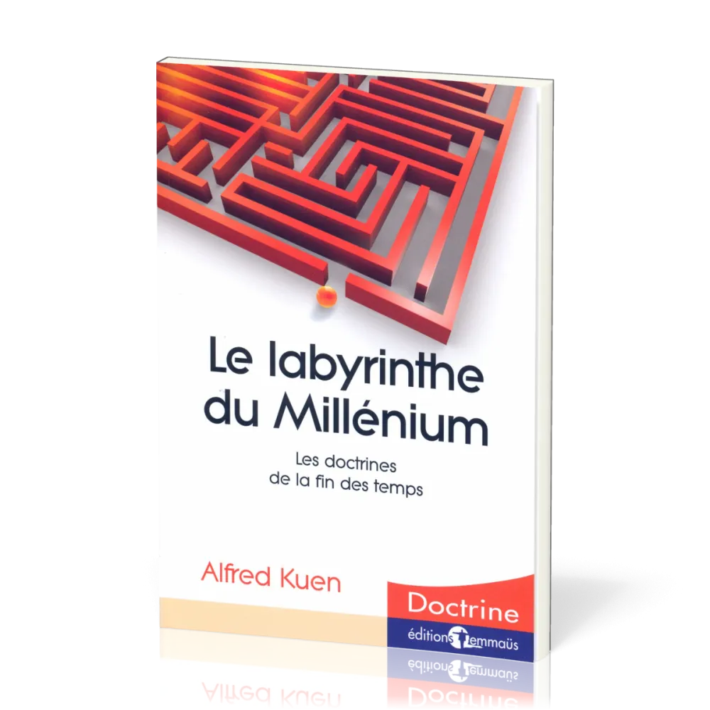 LABYRINTHE DU MILLENIUM (LE)