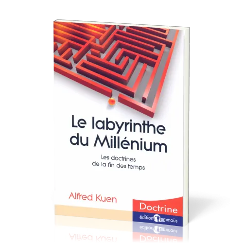 LABYRINTHE DU MILLENIUM (LE)