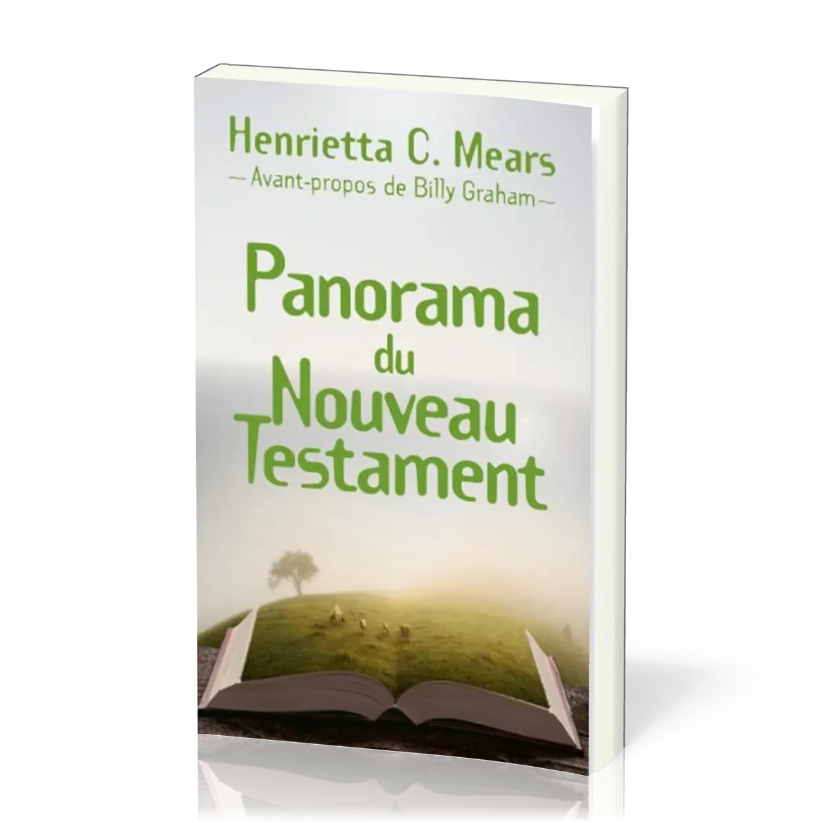 PANORAMA DU NOUVEAU TESTAMENT