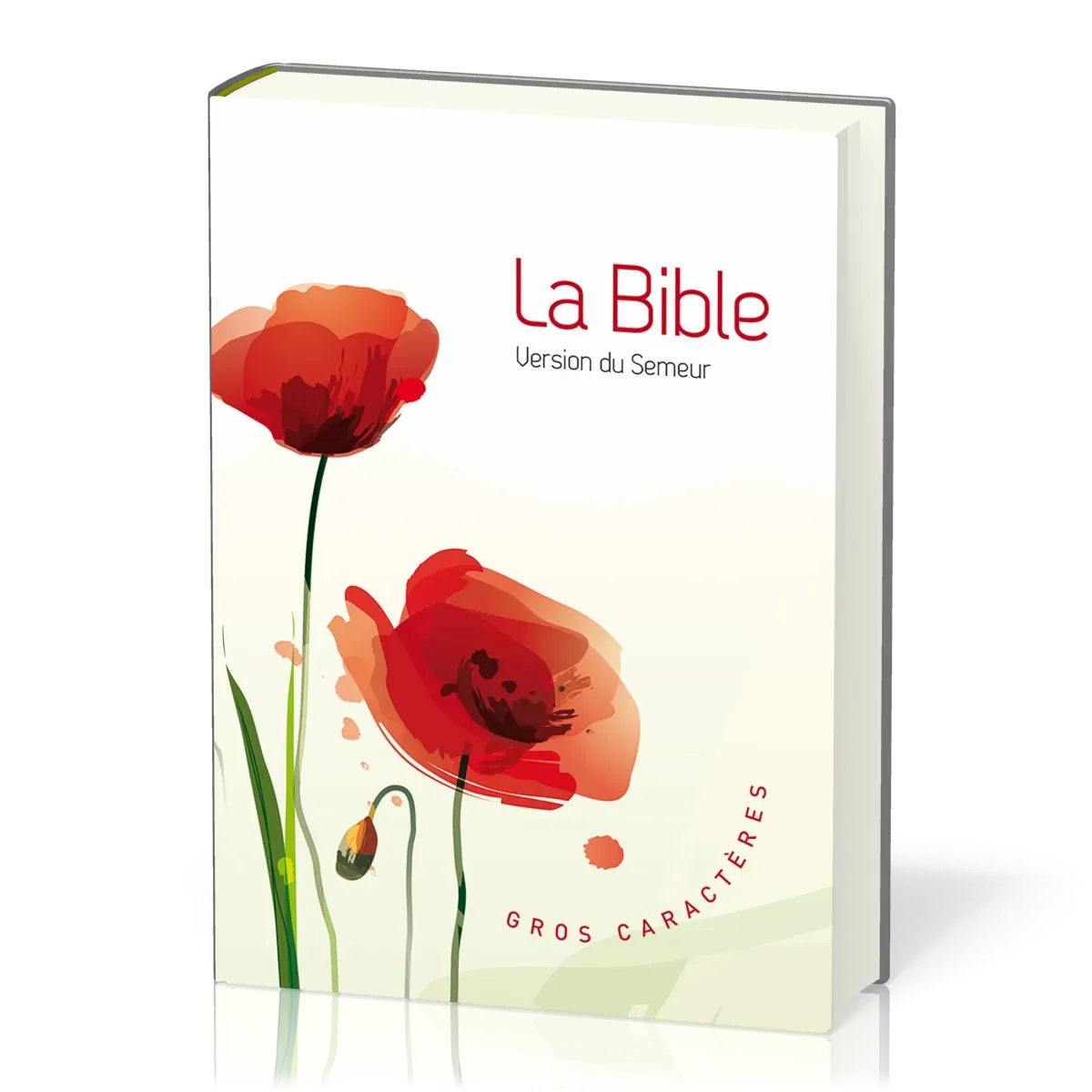 BIBLE SEMEUR 2015 GROS CARACTERES SEMI SOUPLE ILLUSTREE
