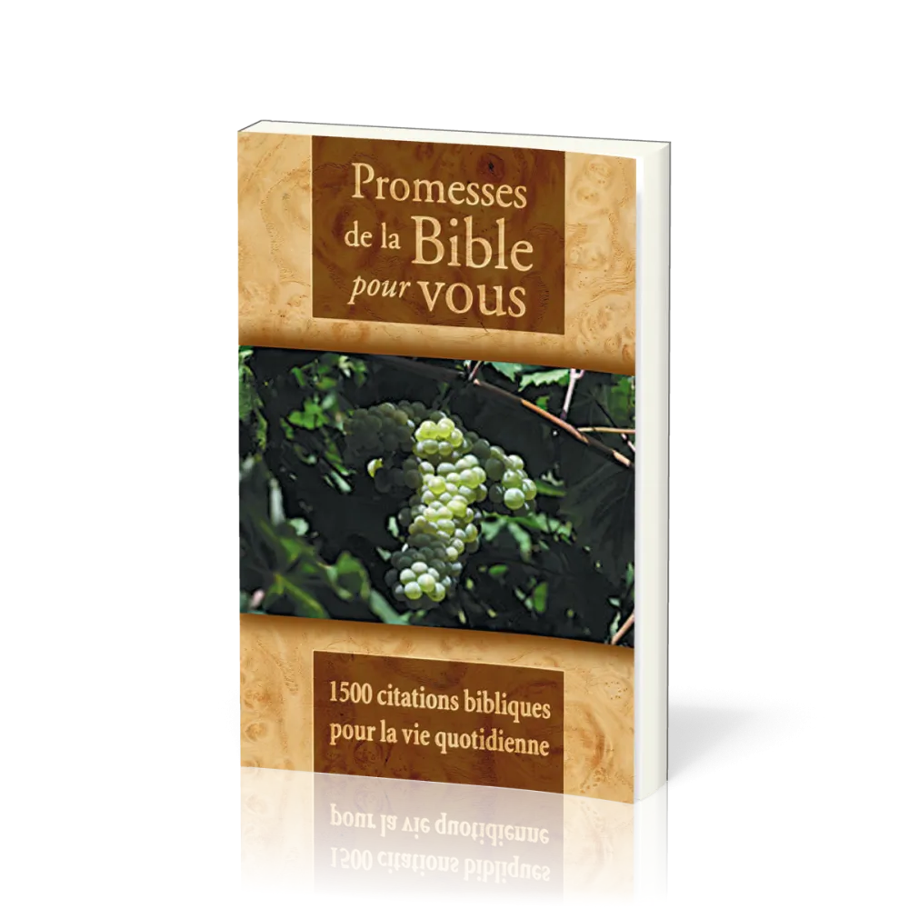 PROMESSES DE LA BIBLE POUR VOUS