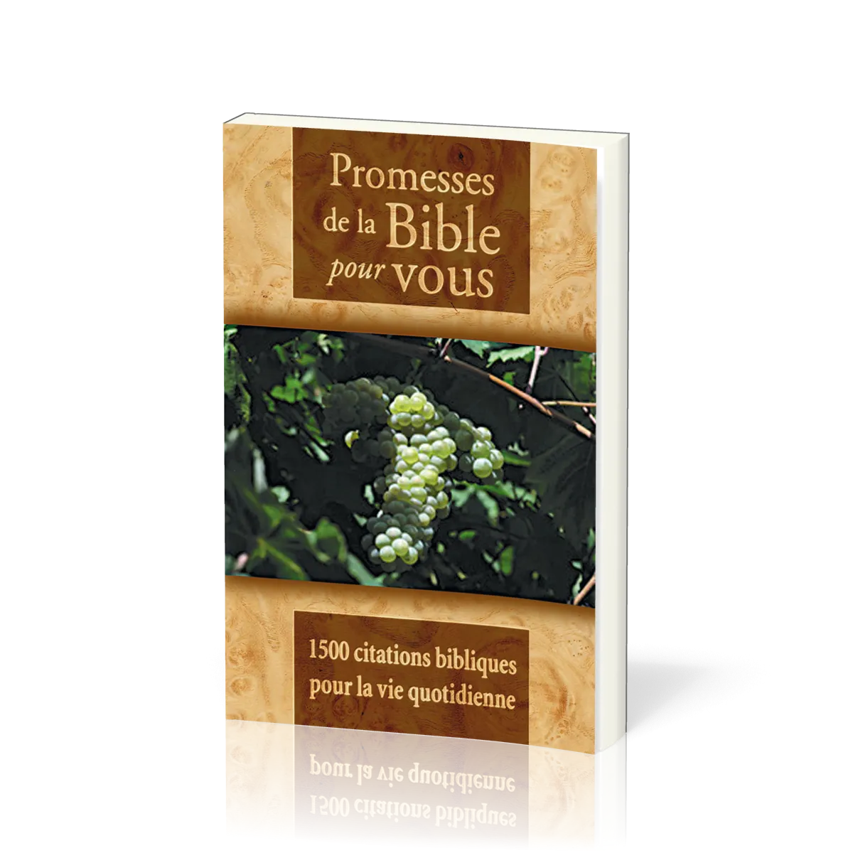 PROMESSES DE LA BIBLE POUR VOUS
