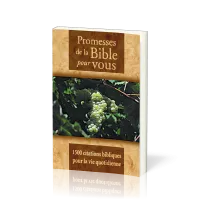 PROMESSES DE LA BIBLE POUR VOUS