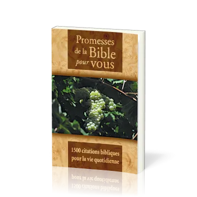 PROMESSES DE LA BIBLE POUR VOUS