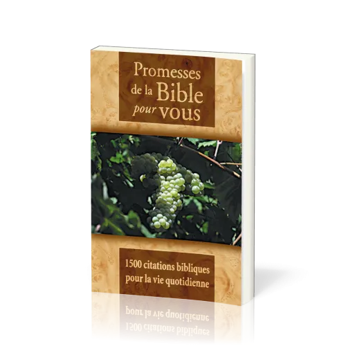 PROMESSES DE LA BIBLE POUR VOUS