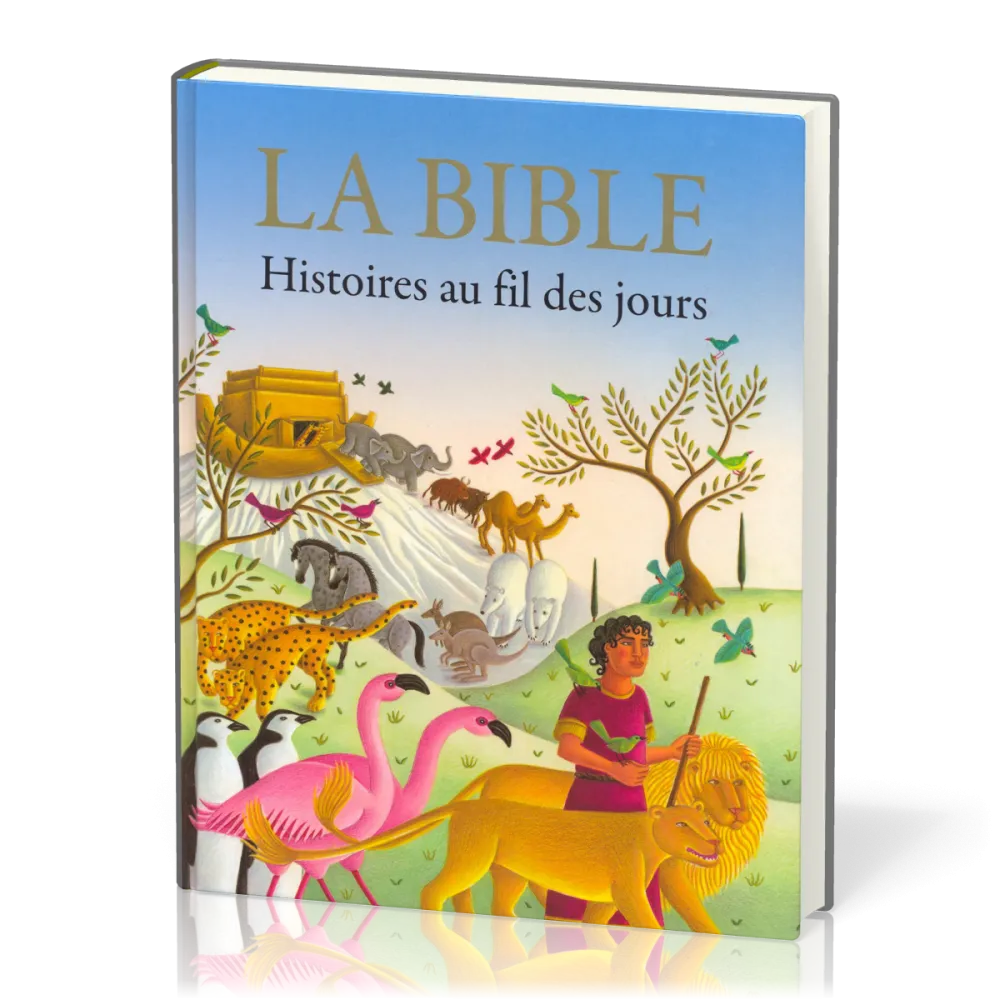 BIBLE (LA) HISTOIRES AU FIL DES JOURS