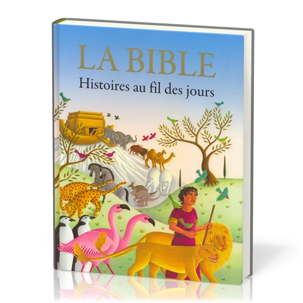 BIBLE (LA) HISTOIRES AU FIL DES JOURS