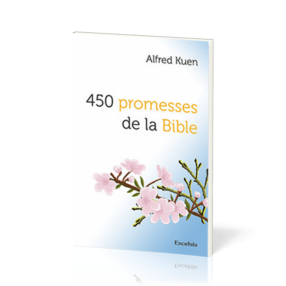 450 PROMESSES DE LA BIBLE NVELLE EDITION