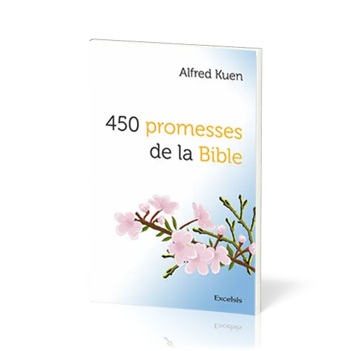 450 PROMESSES DE LA BIBLE NVELLE EDITION