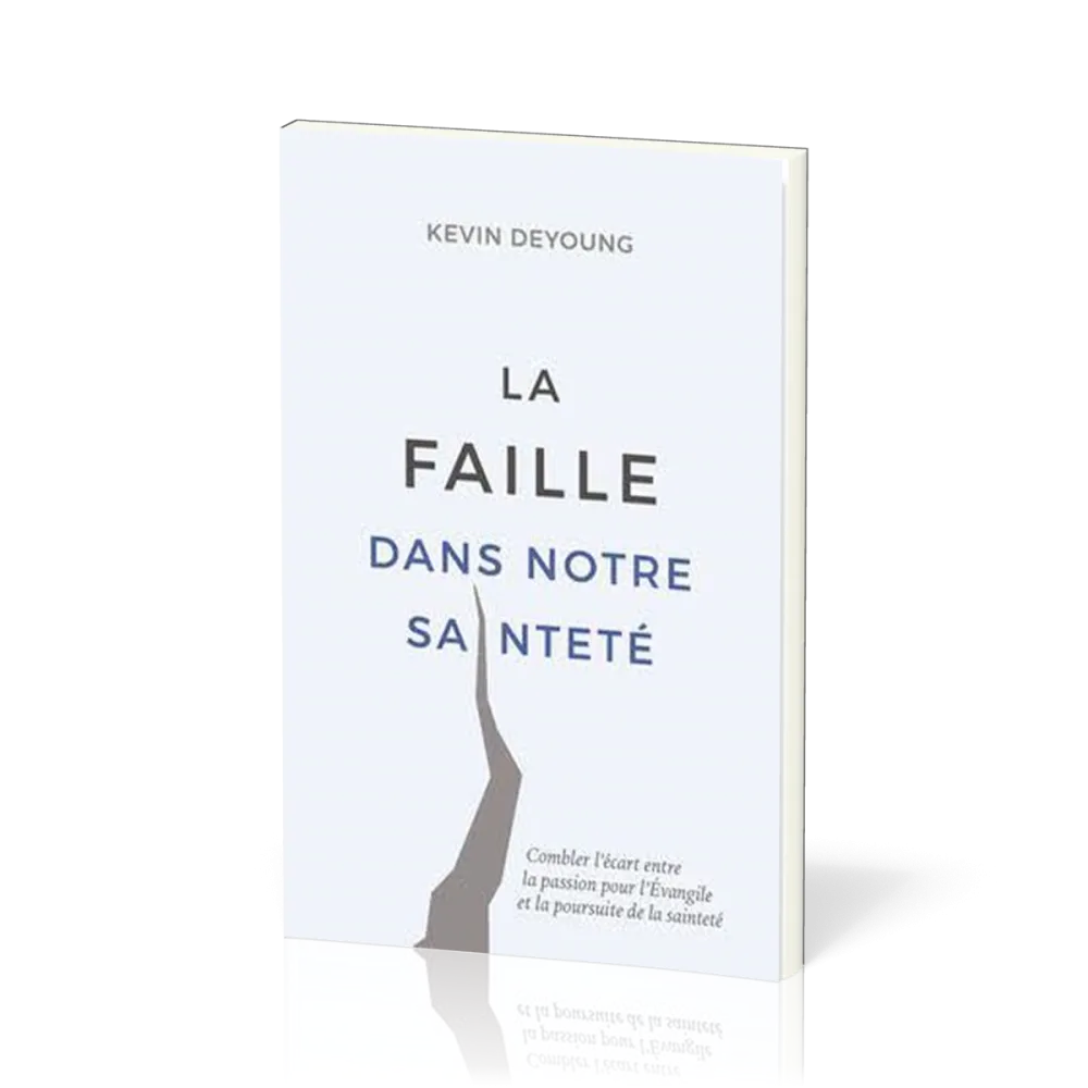 FAILLE DANS NOTRE SAINTETE (LA) - COMBLER LE VIDE ENTRE LA PASSION POUR L'EVANGILE ET LA POURSUITE D