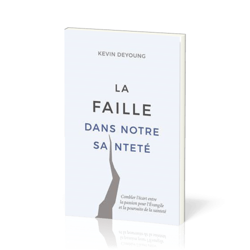 FAILLE DANS NOTRE SAINTETE (LA) - COMBLER LE VIDE ENTRE LA PASSION POUR L'EVANGILE ET LA POURSUITE D