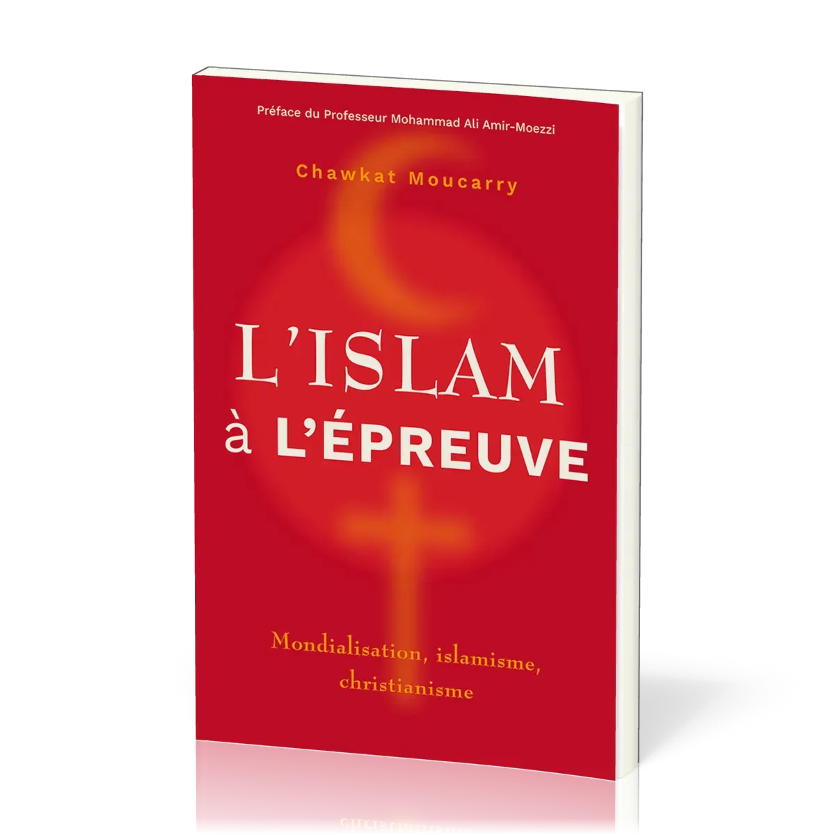 ISLAM A L'EPREUVE (L') - MONDIALISATION, ISLAMISME, CHRISTIANISME