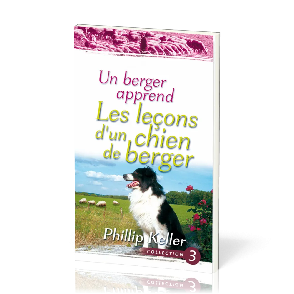 UN BERGER APPREND LES LECONS D'UN CHIEN DE BERGER