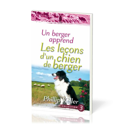 UN BERGER APPREND LES LECONS D'UN CHIEN DE BERGER