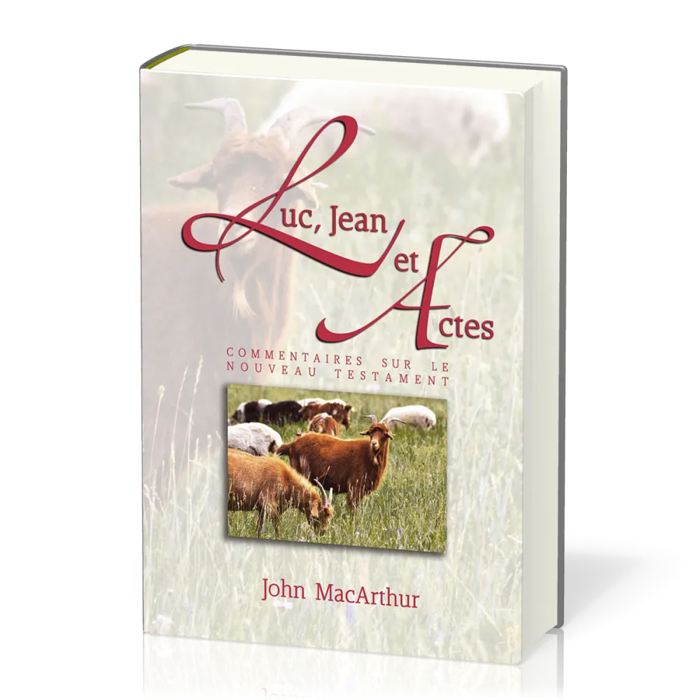 LUC-JEAN-ACTES - COMMENTAIRES SUR LE NOUVEAU TESTAMENT